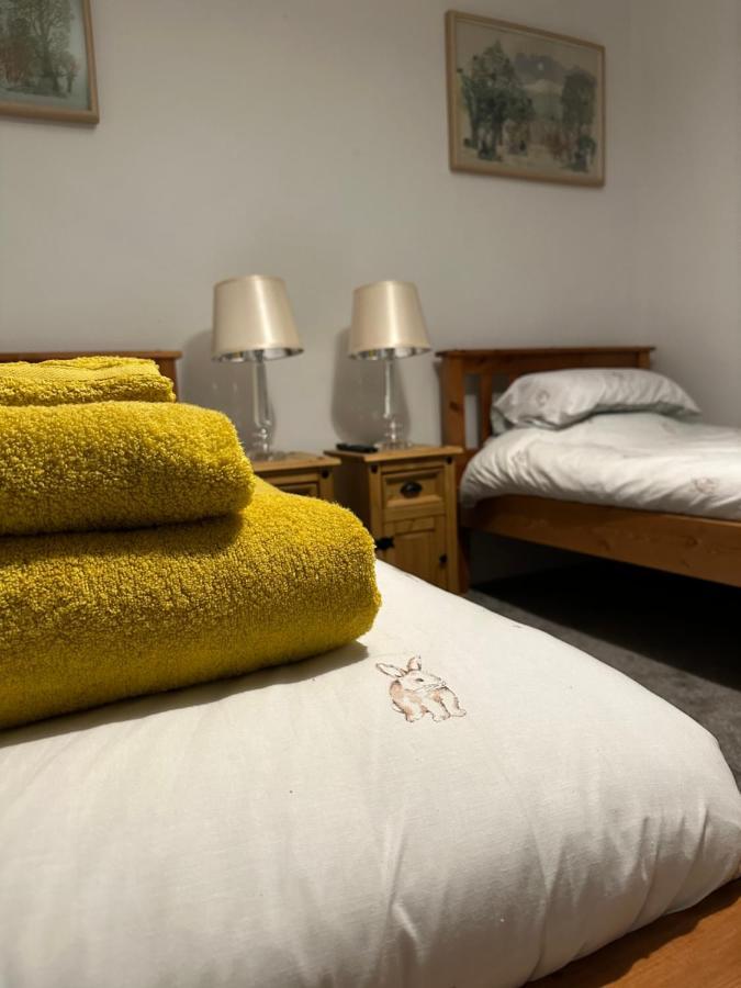 Trawsfynydd Stone Cottage 외부 사진